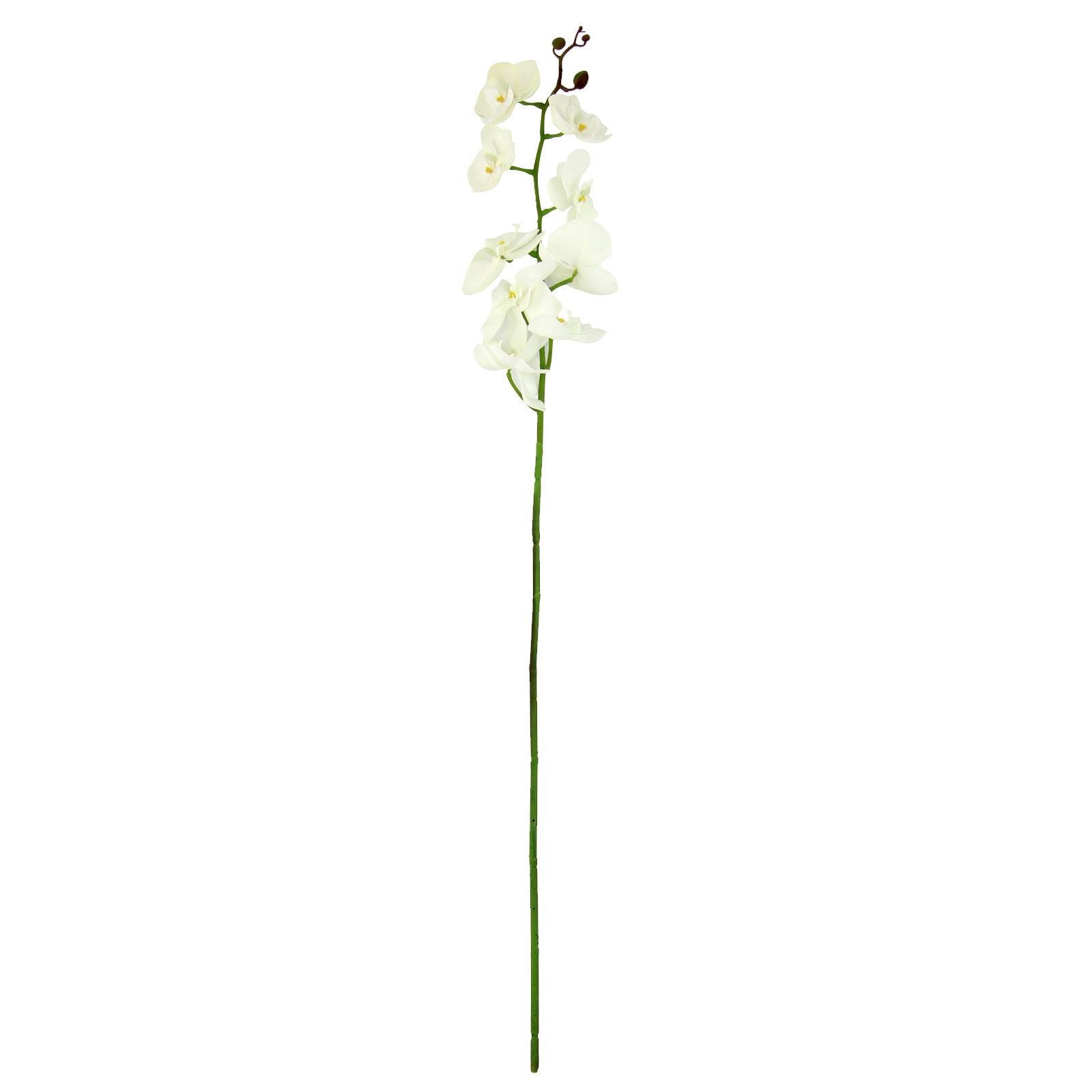 Real Touch Phalaenopsis Orchid