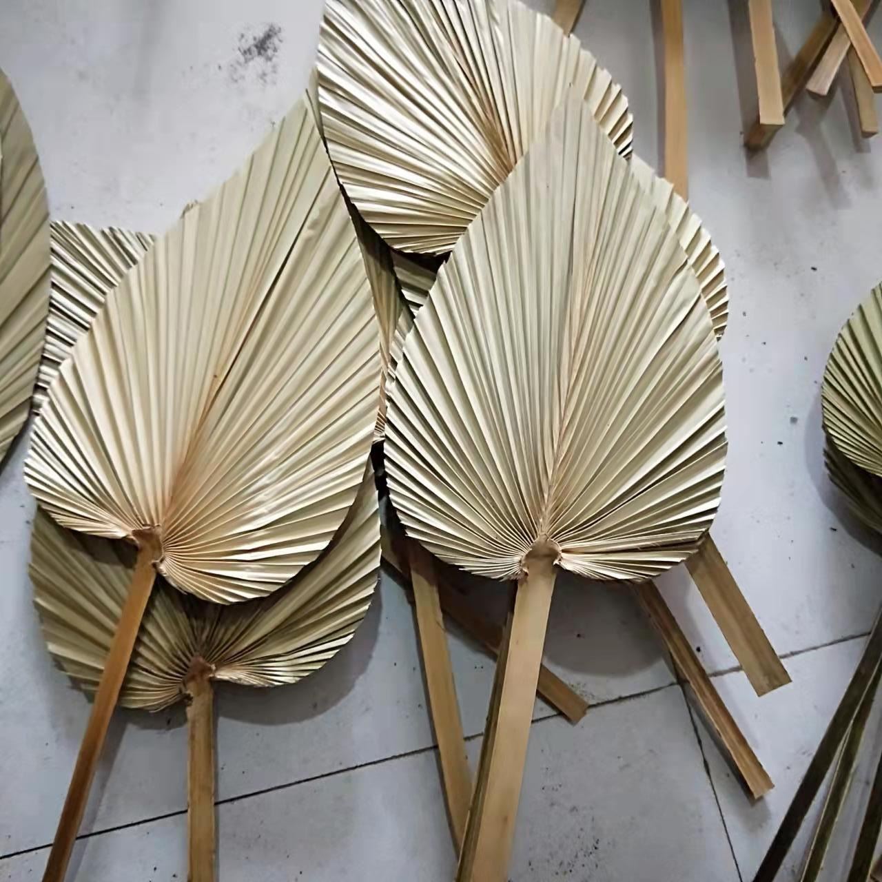 XL Natural Dried Palm Spears