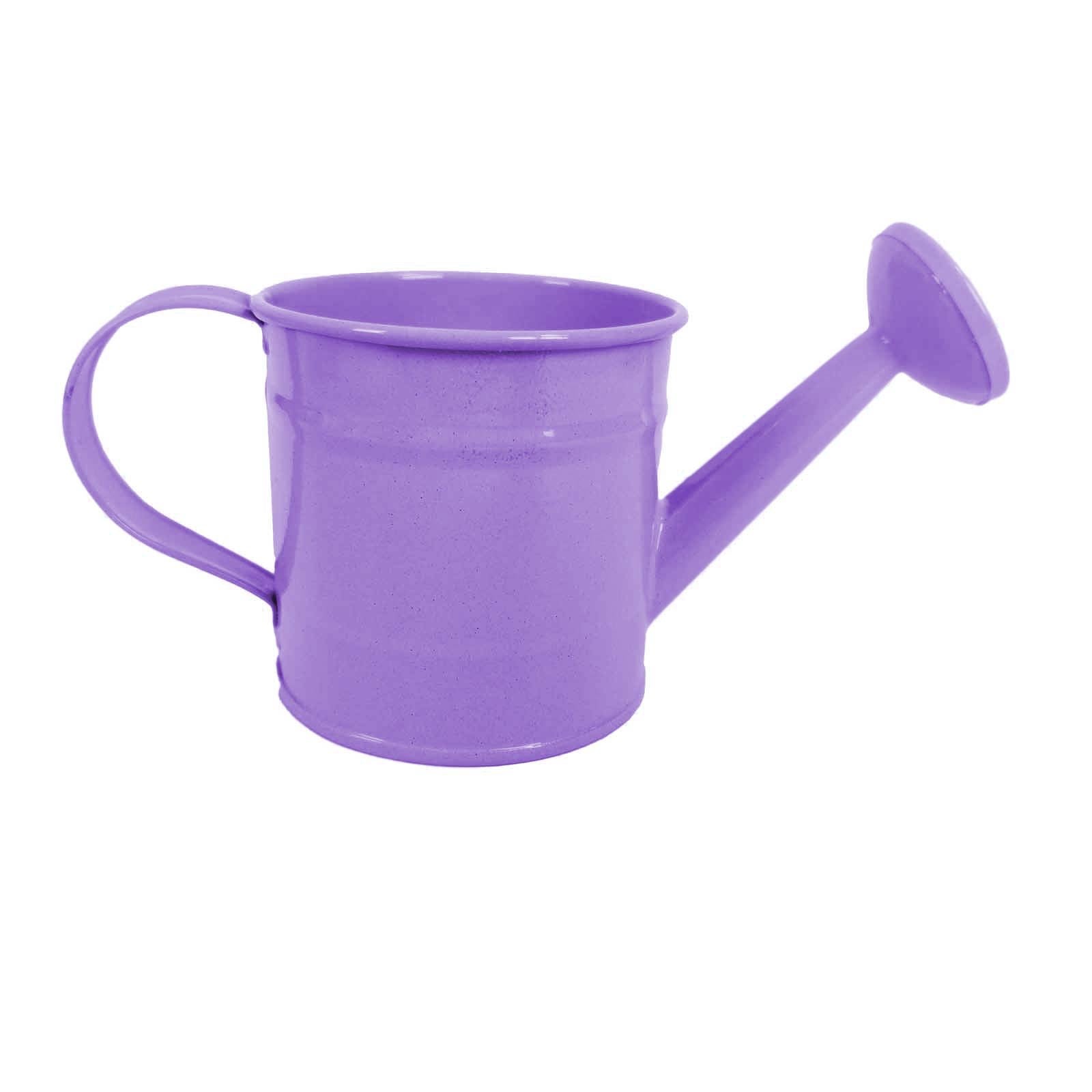Mini Functional Watering Can