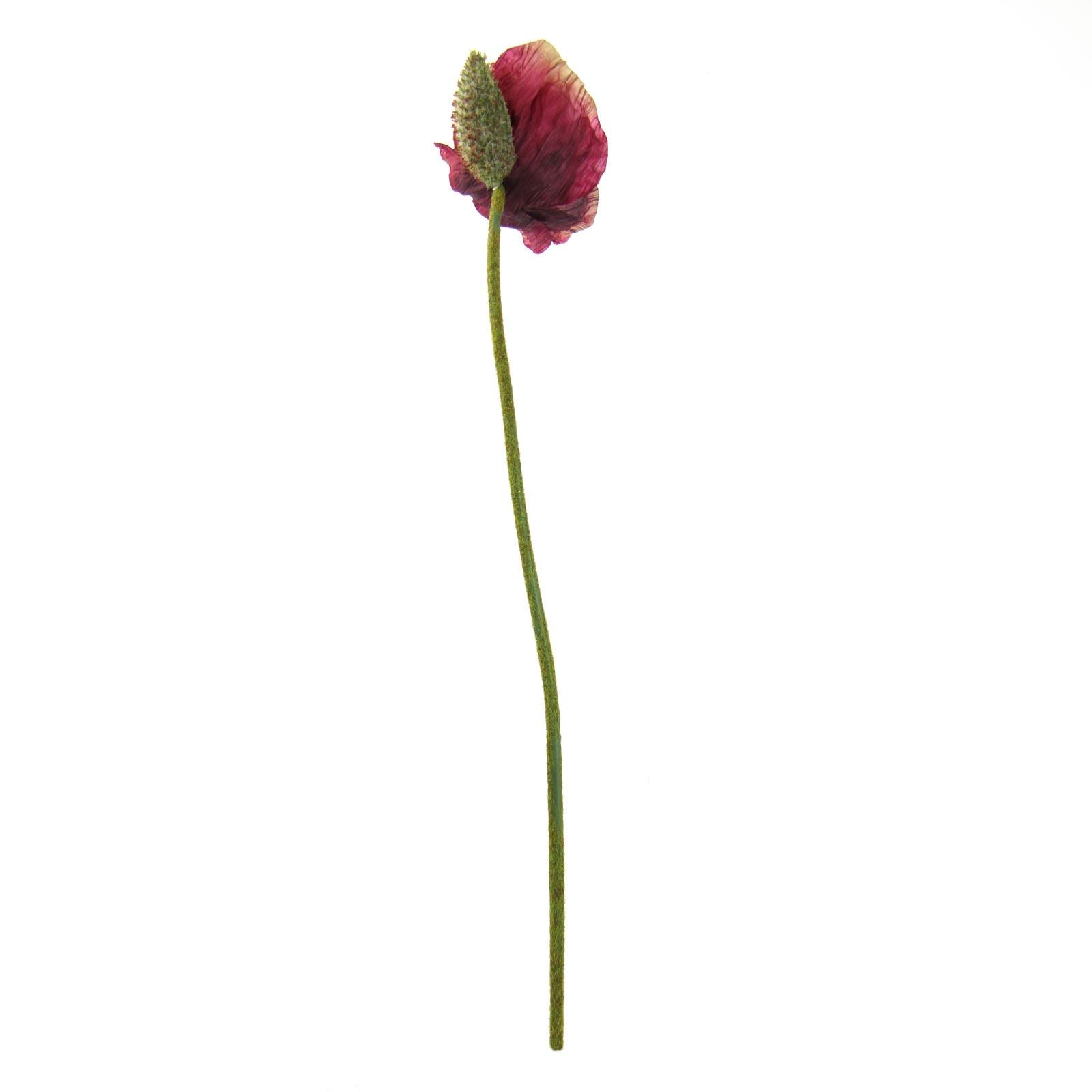 Single Premium Poppy Stem