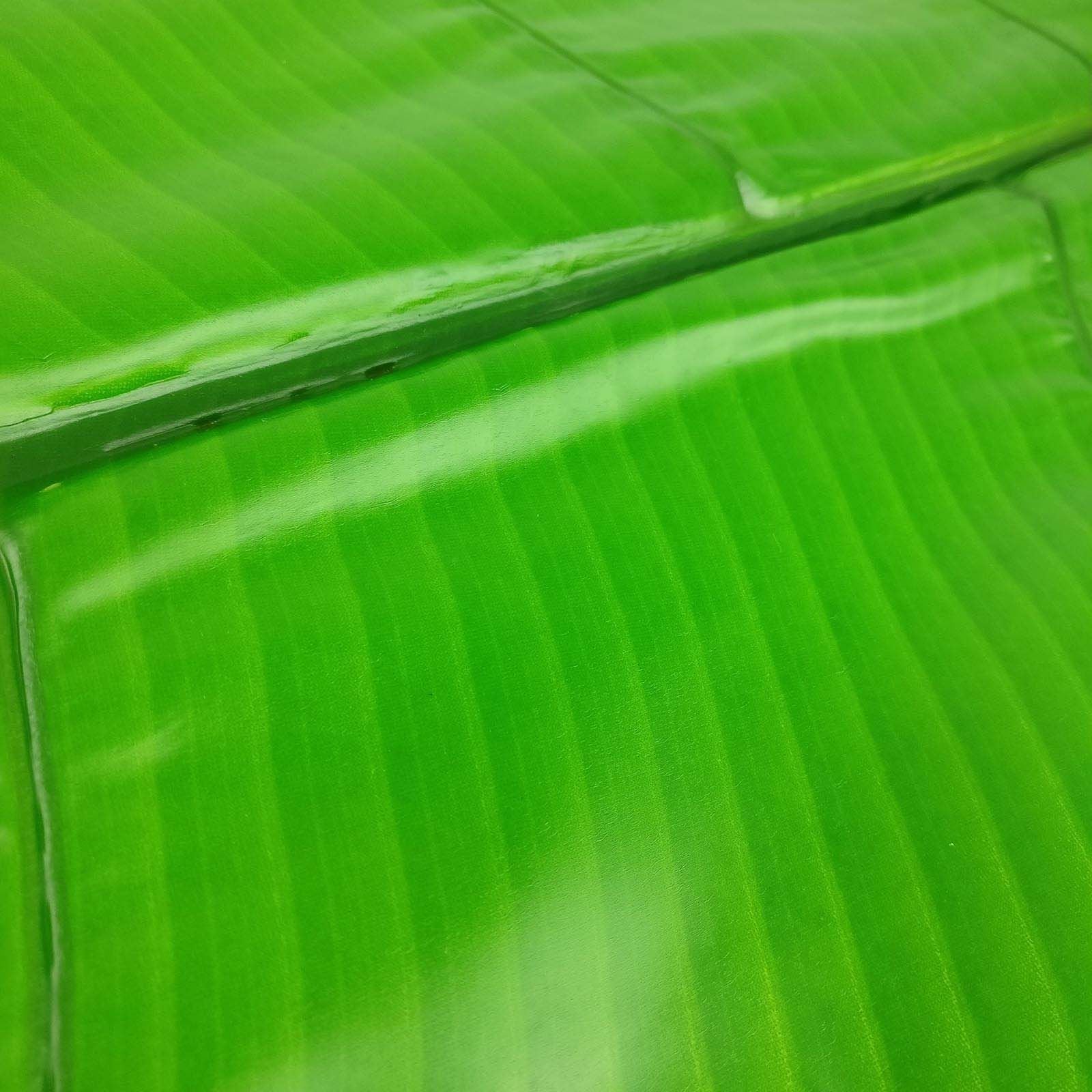 XL Banana Palm Leaf