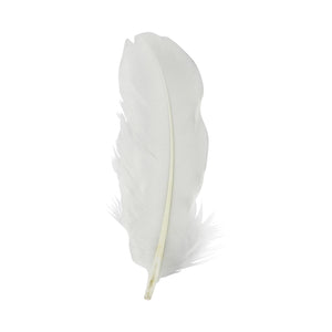 Large 5 Inch Goose Feathers