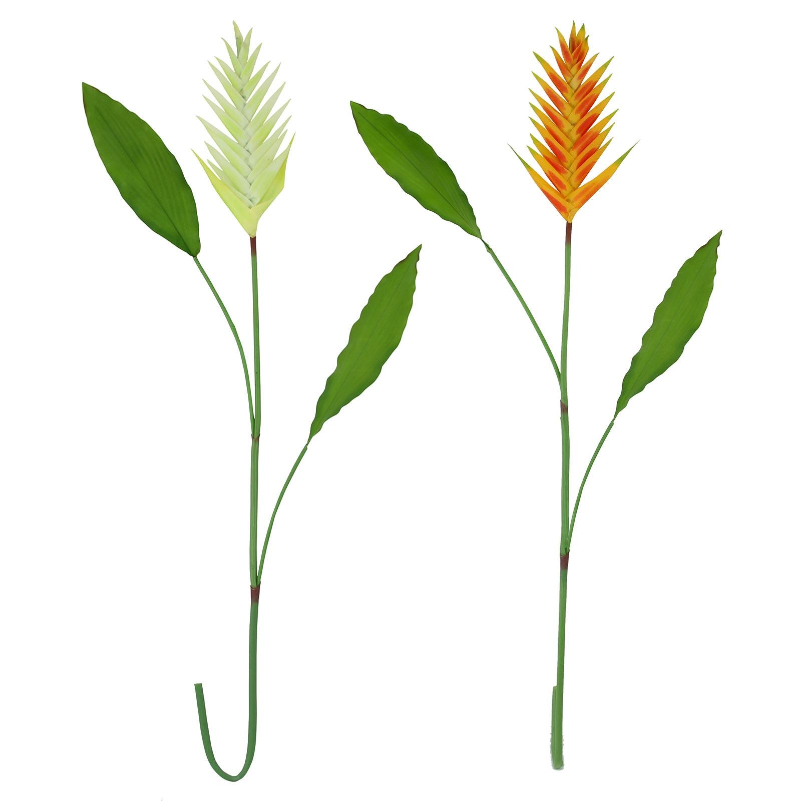 Large Tropical Heliconia Flower Stem