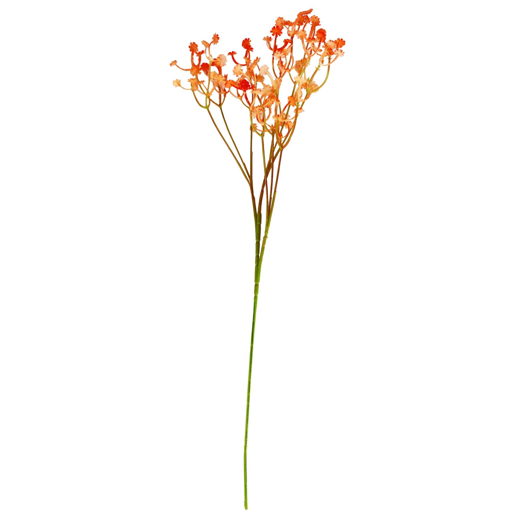 Coloured Gypsophila Sprays
