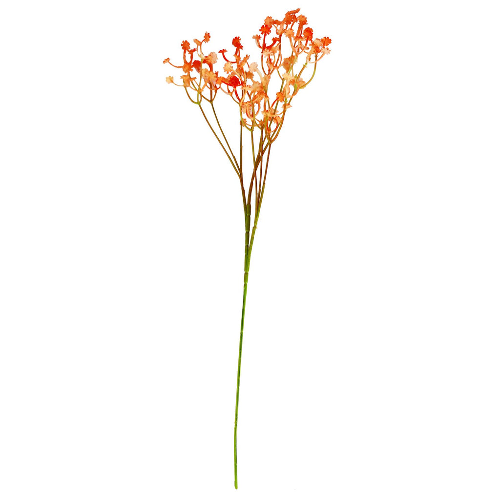 Coloured Gypsophila Sprays
