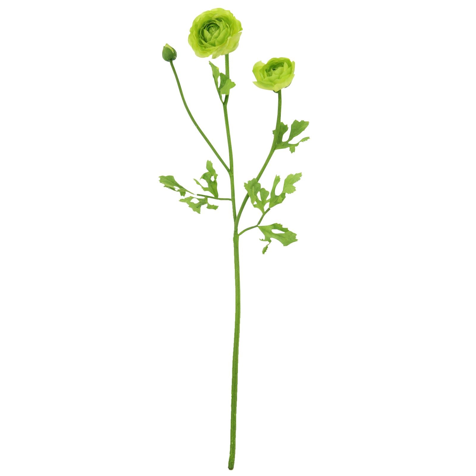 3 Head Soft Touch Ranunculus Spray