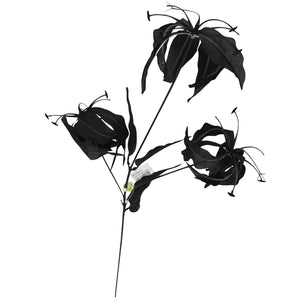 Gloriosa Spray with Black Foliage
