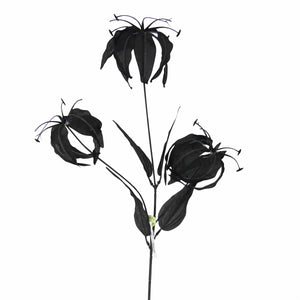 Gloriosa Spray with Black Foliage