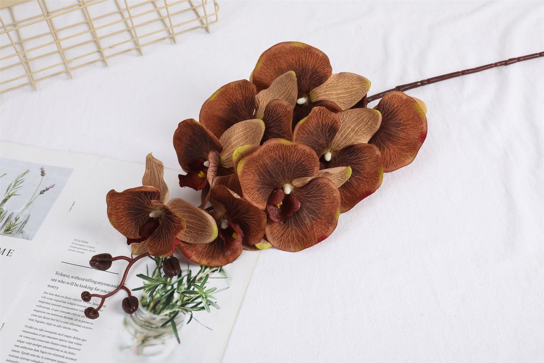 Premium Modern Large Orchid