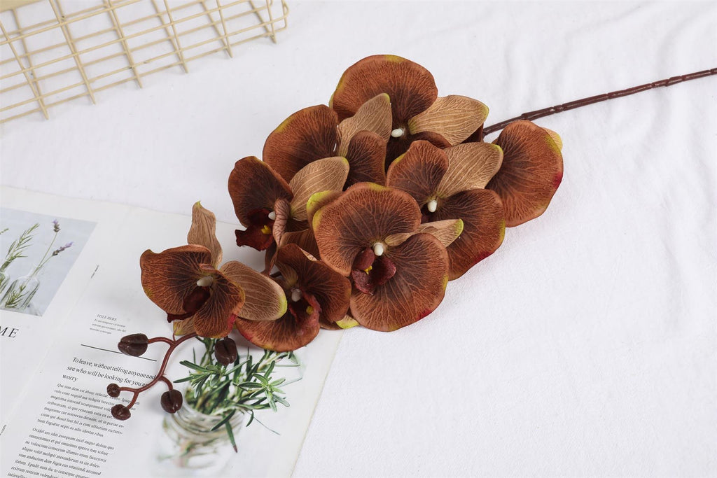 Premium Modern Large Orchid