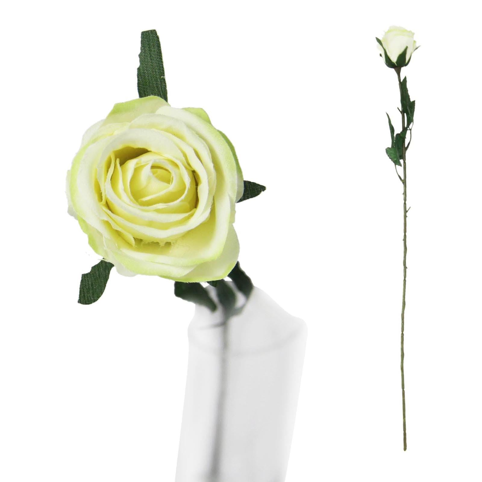 Single Premium Rose Bud