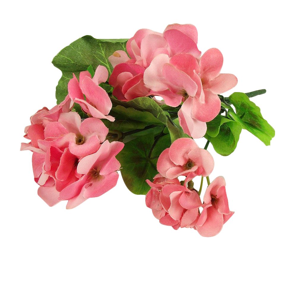 Small Hydrangea Blossom Bush