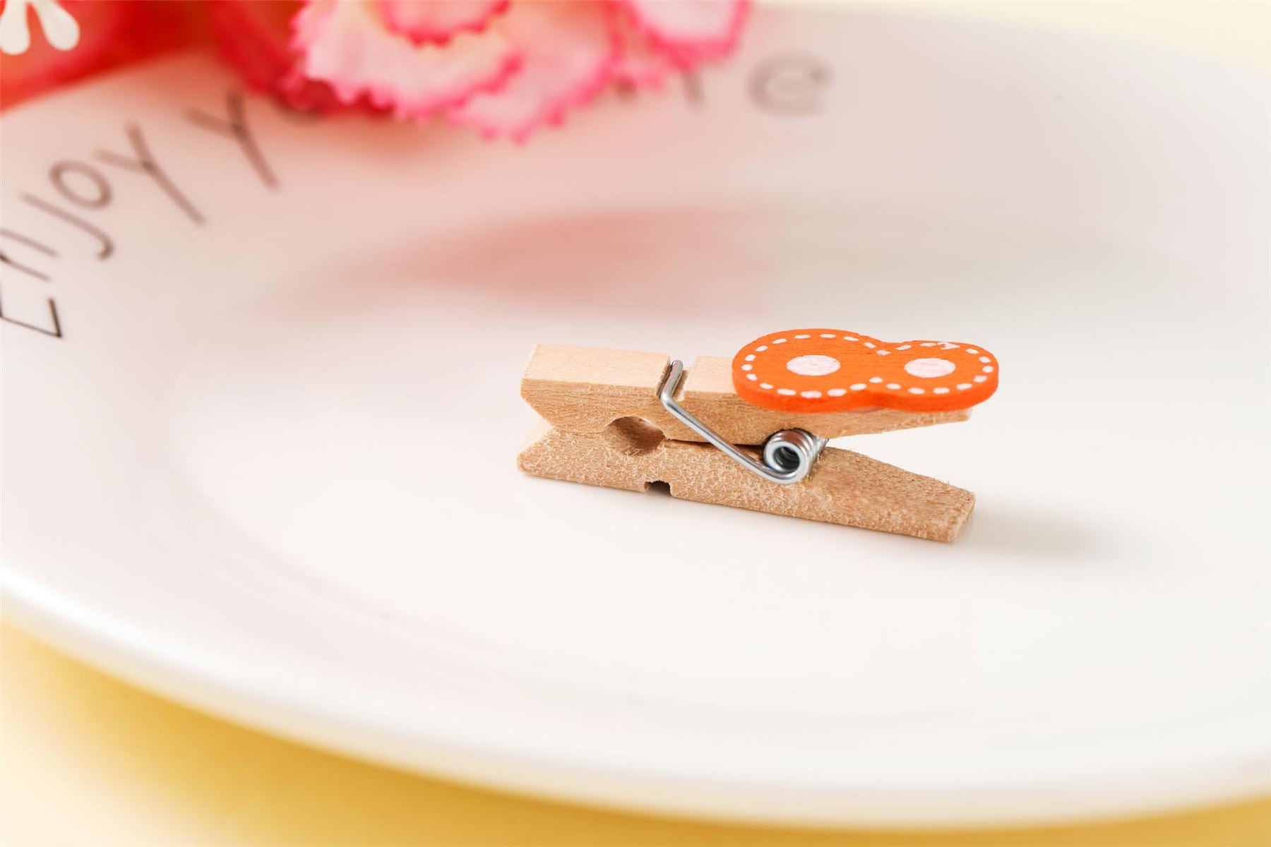 Fancy Printed Assorted Wooden Pegs