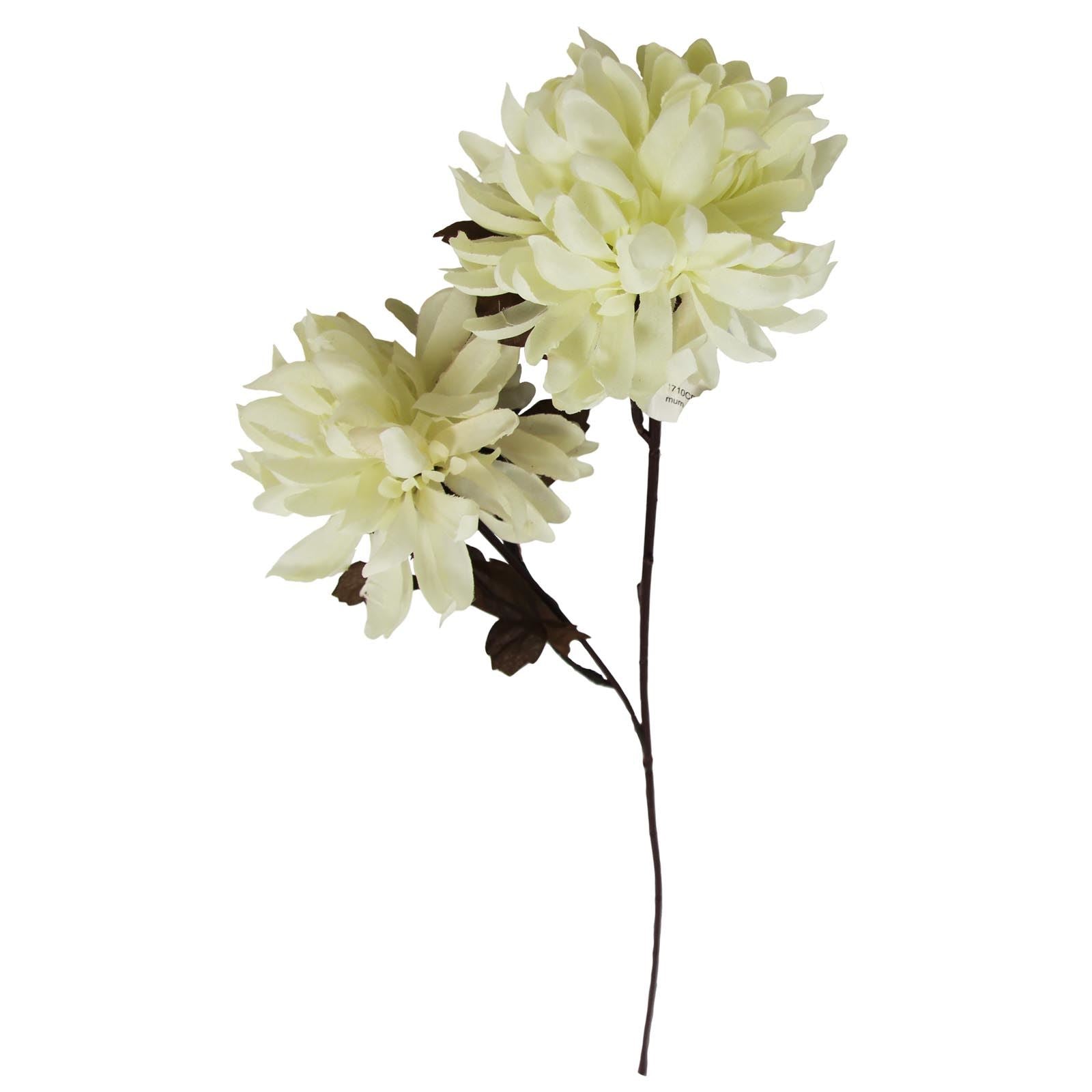 2 Head Chrysanthemum