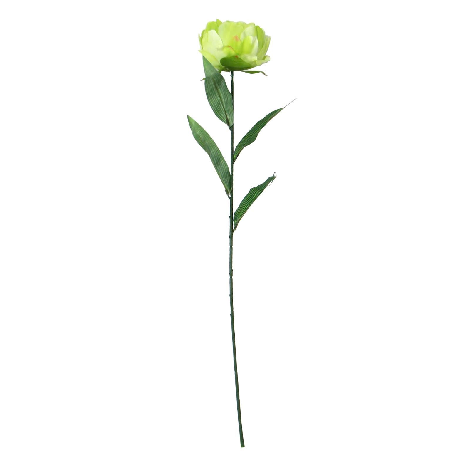 Single Large Peony