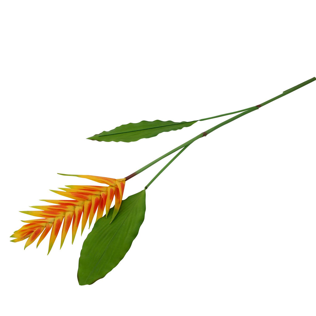 Large Tropical Heliconia Flower Stem
