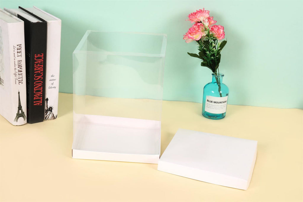 Extra Large Clear PVC Box