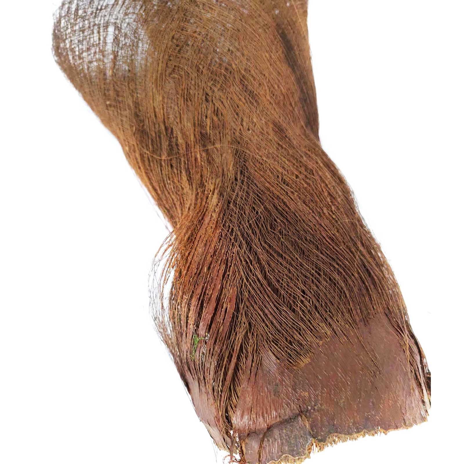 Dried Preserved Palm Tree Hair Fluff