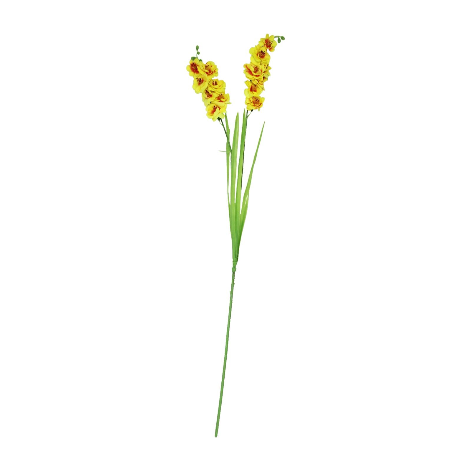 Two Headed Long Orchid Spray