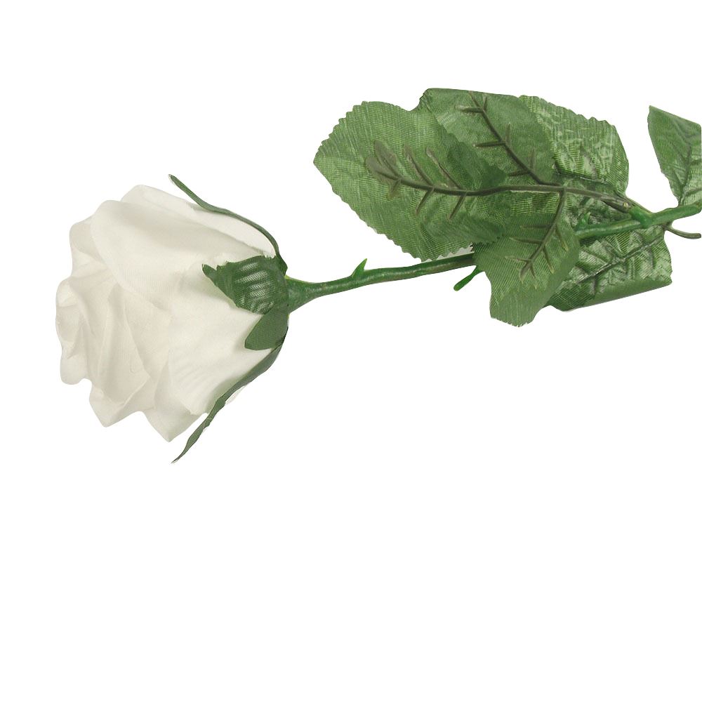 Single Premium Rose Bud