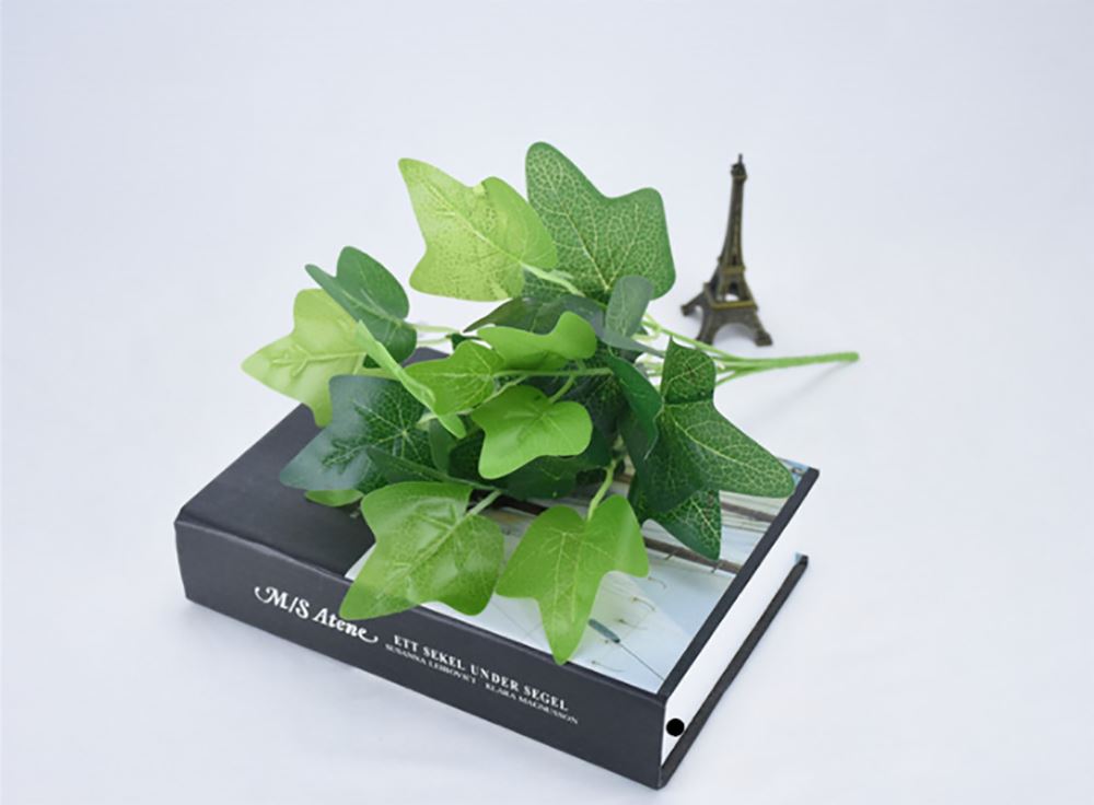 Glossy Foliage Bunches