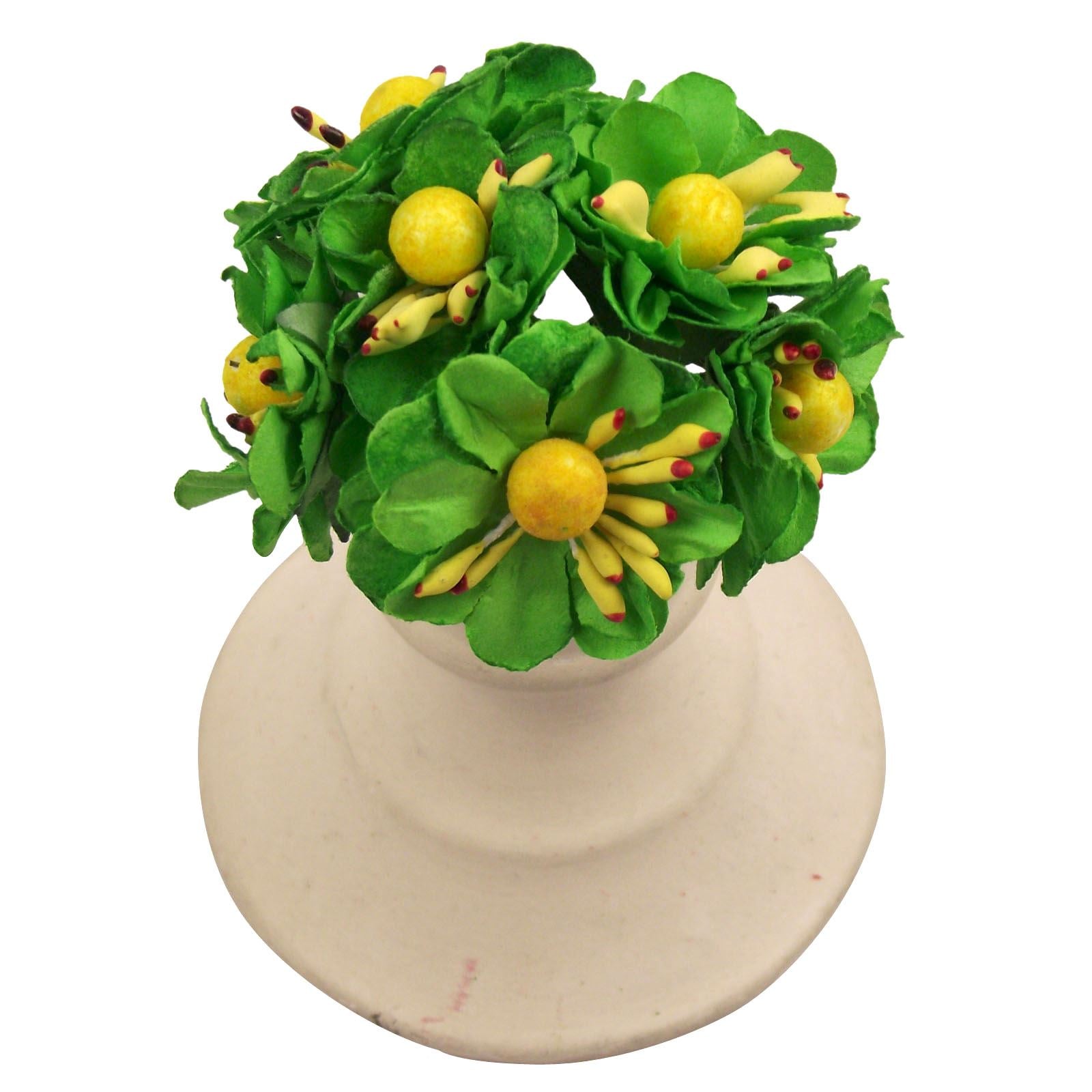 2x Bunches of 6 Paper Anemone