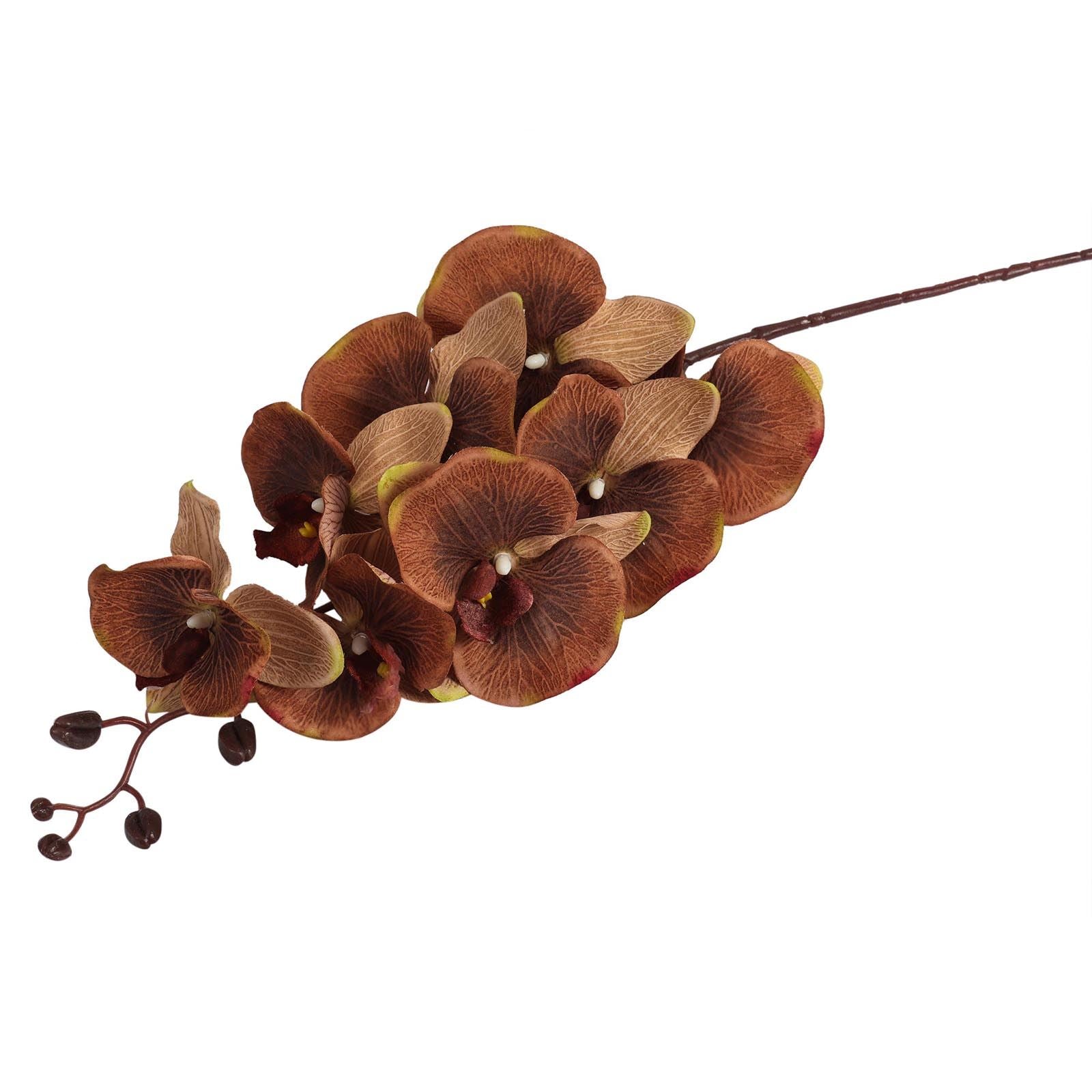 Premium Modern Large Orchid