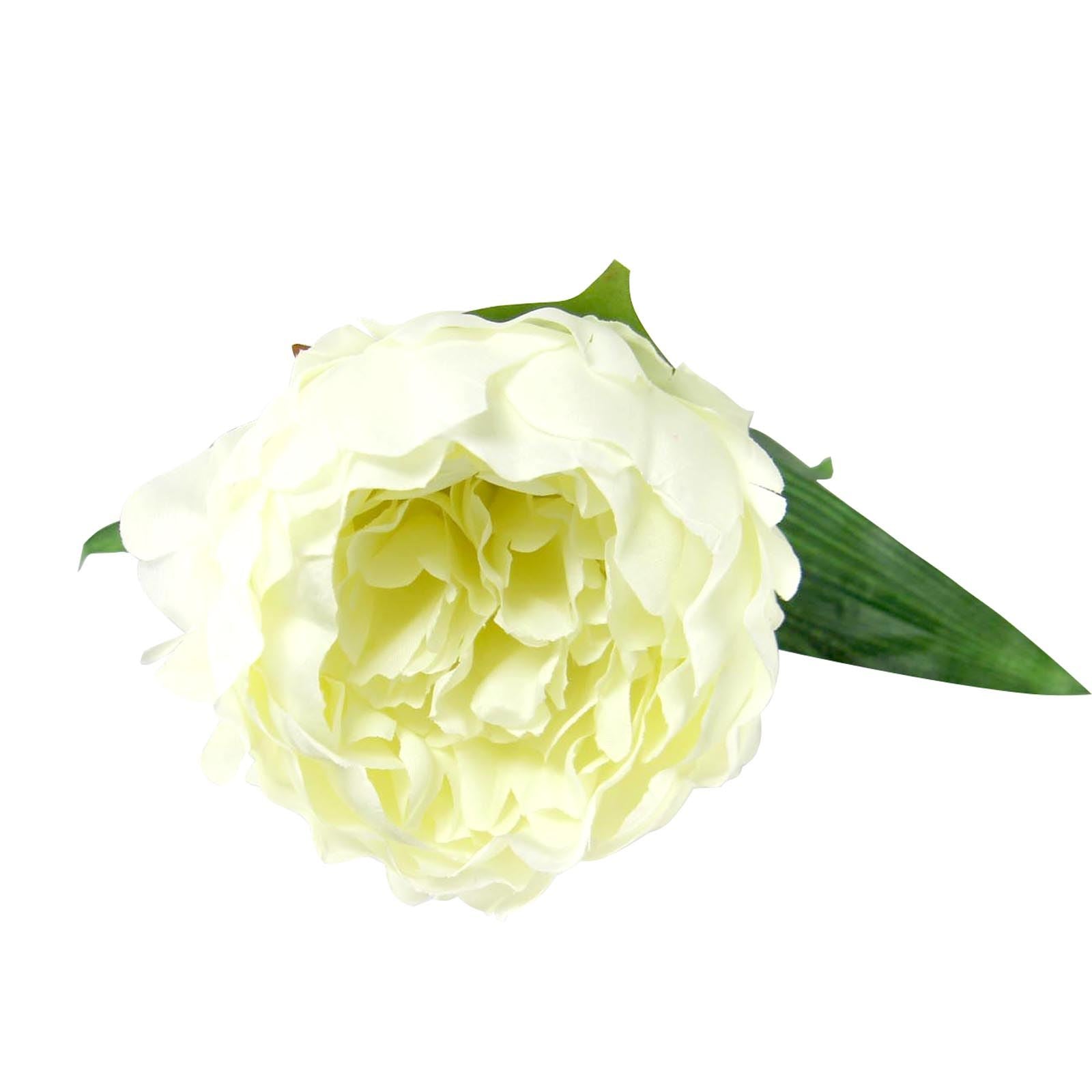Single Large Peony