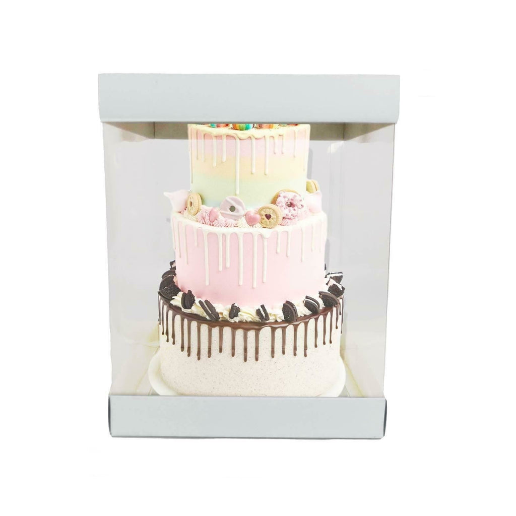 Extra Large Clear PVC Box