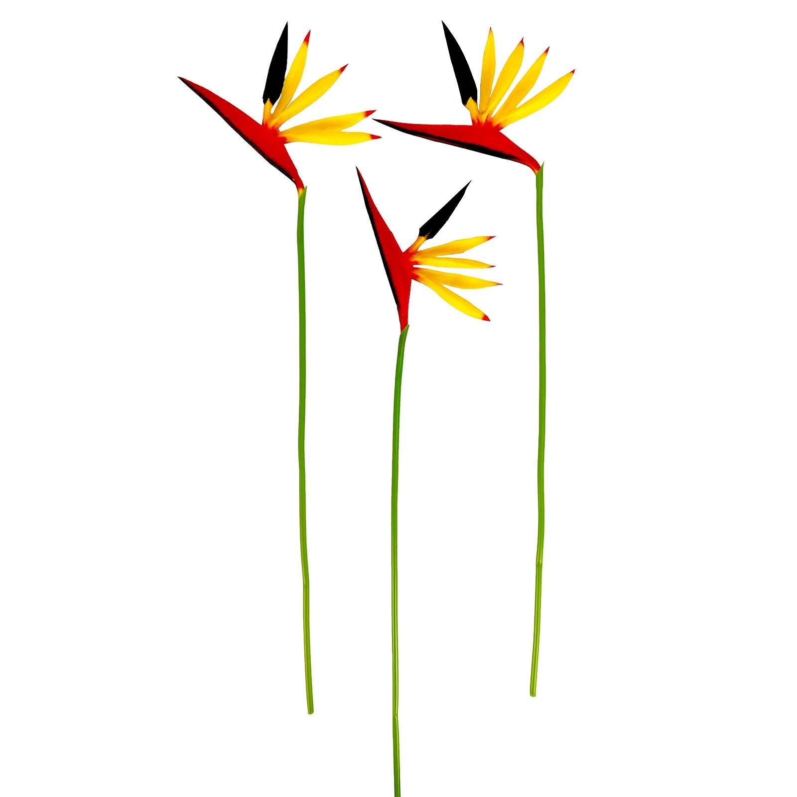 Eco Bird of Paradise Stem