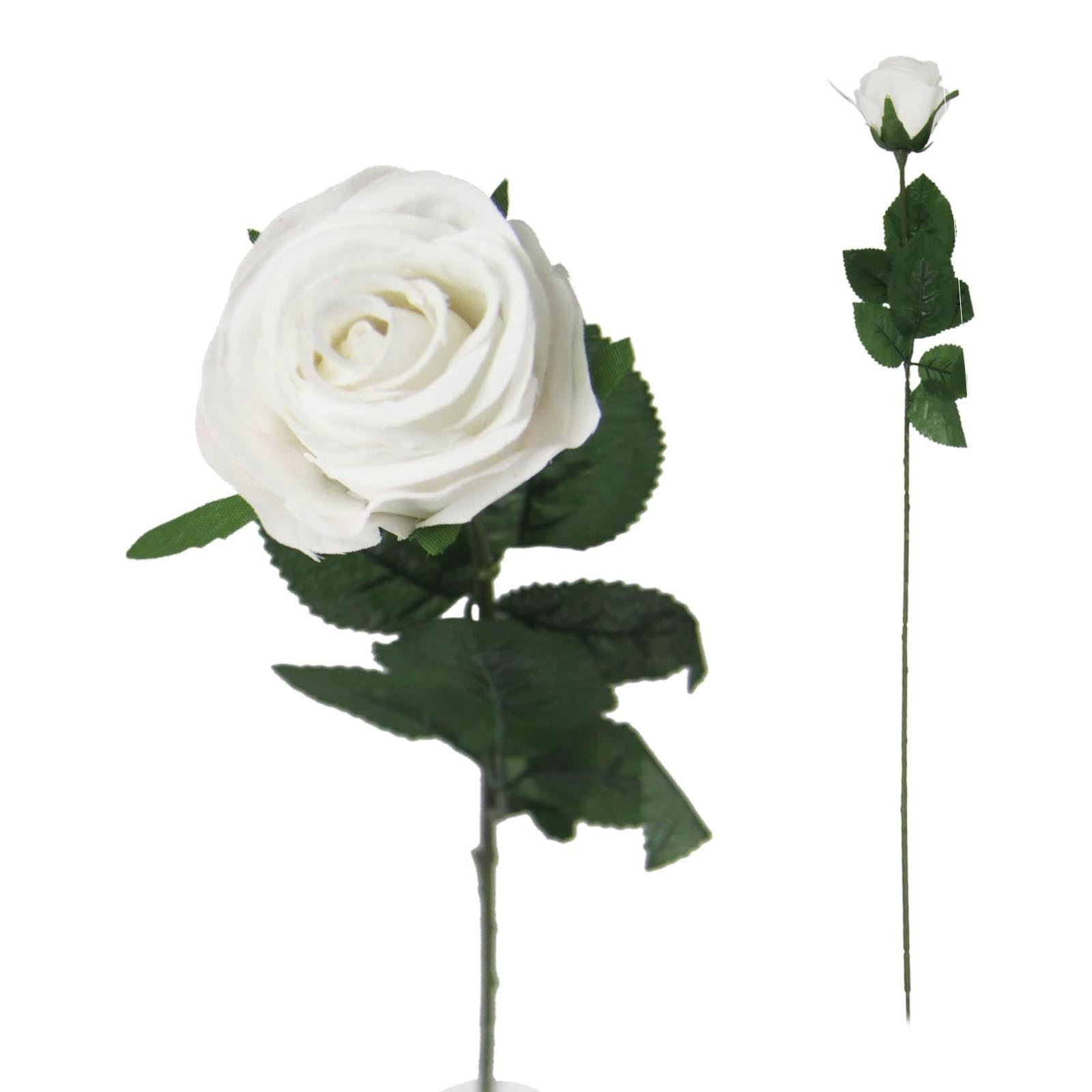 Single Premium Rose Bud