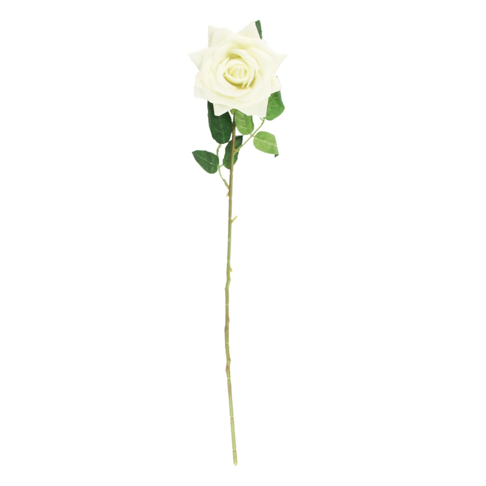 Premium Open Velvet Rose
