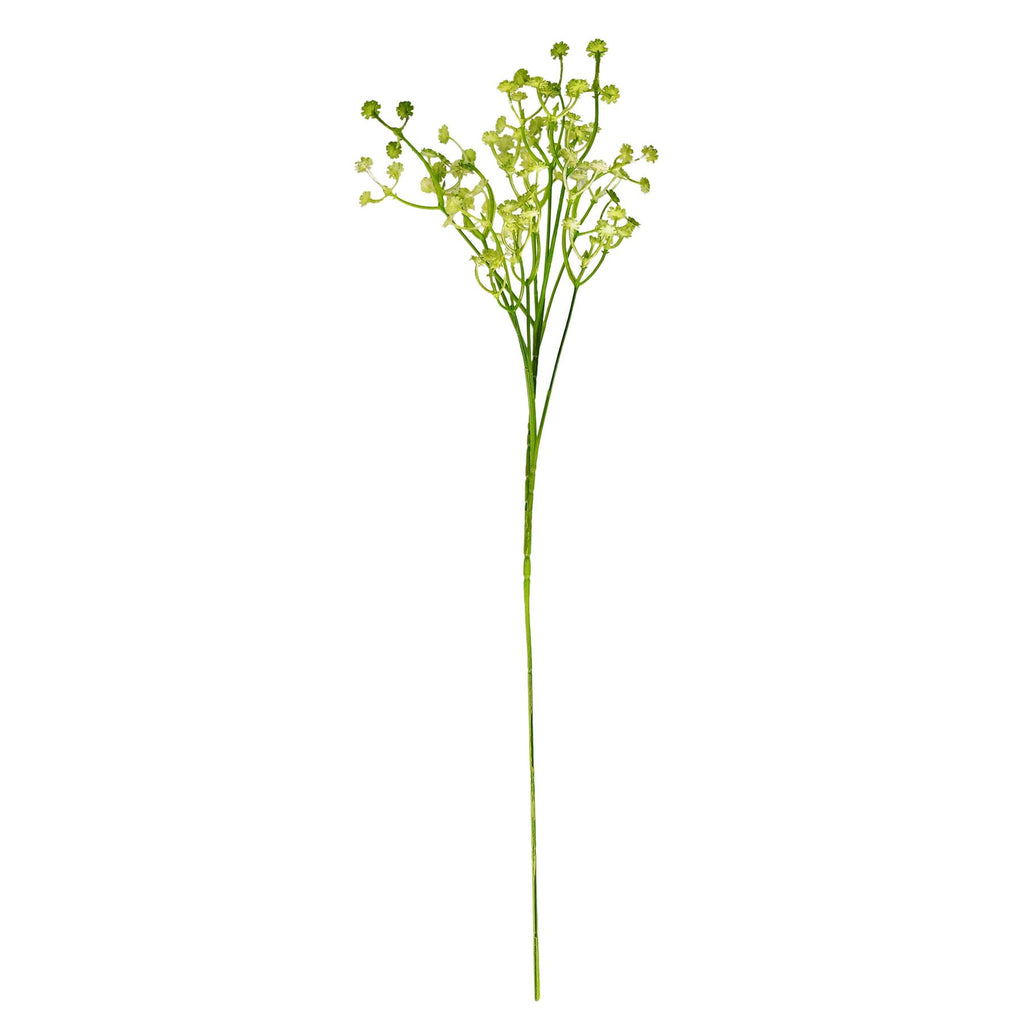 Coloured Gypsophila Sprays