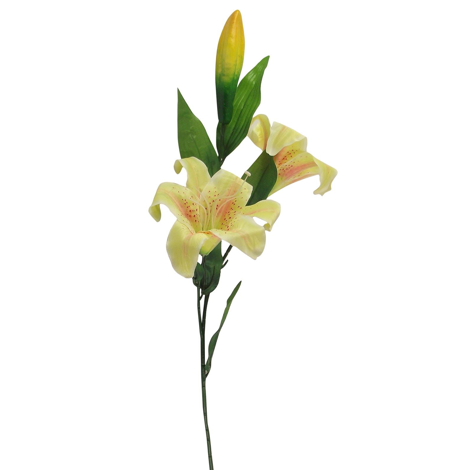 Stargazer Lily Spray