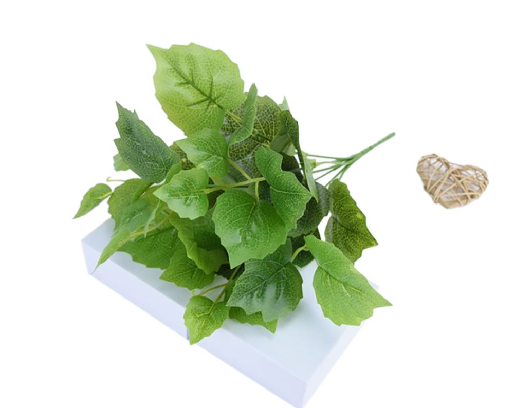 Glossy Foliage Bunches