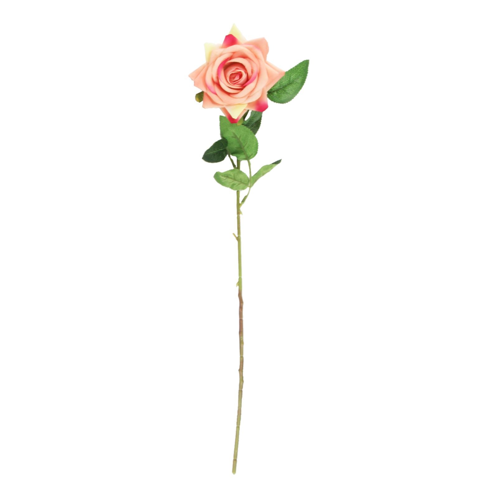 Premium Open Velvet Rose