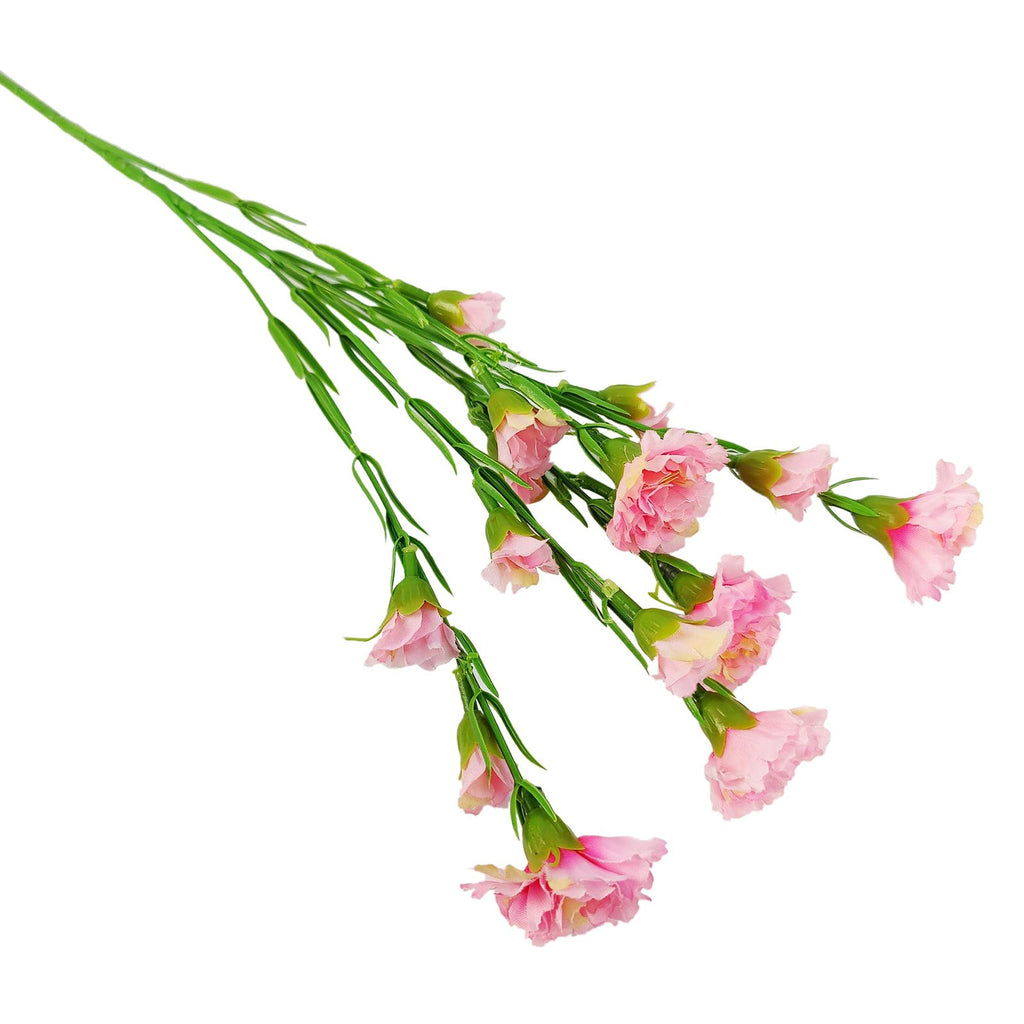 Carnation Spray