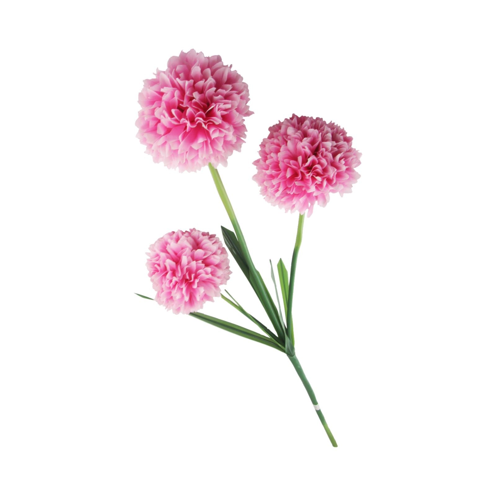 3 Headed Large Pompom Allium Spray