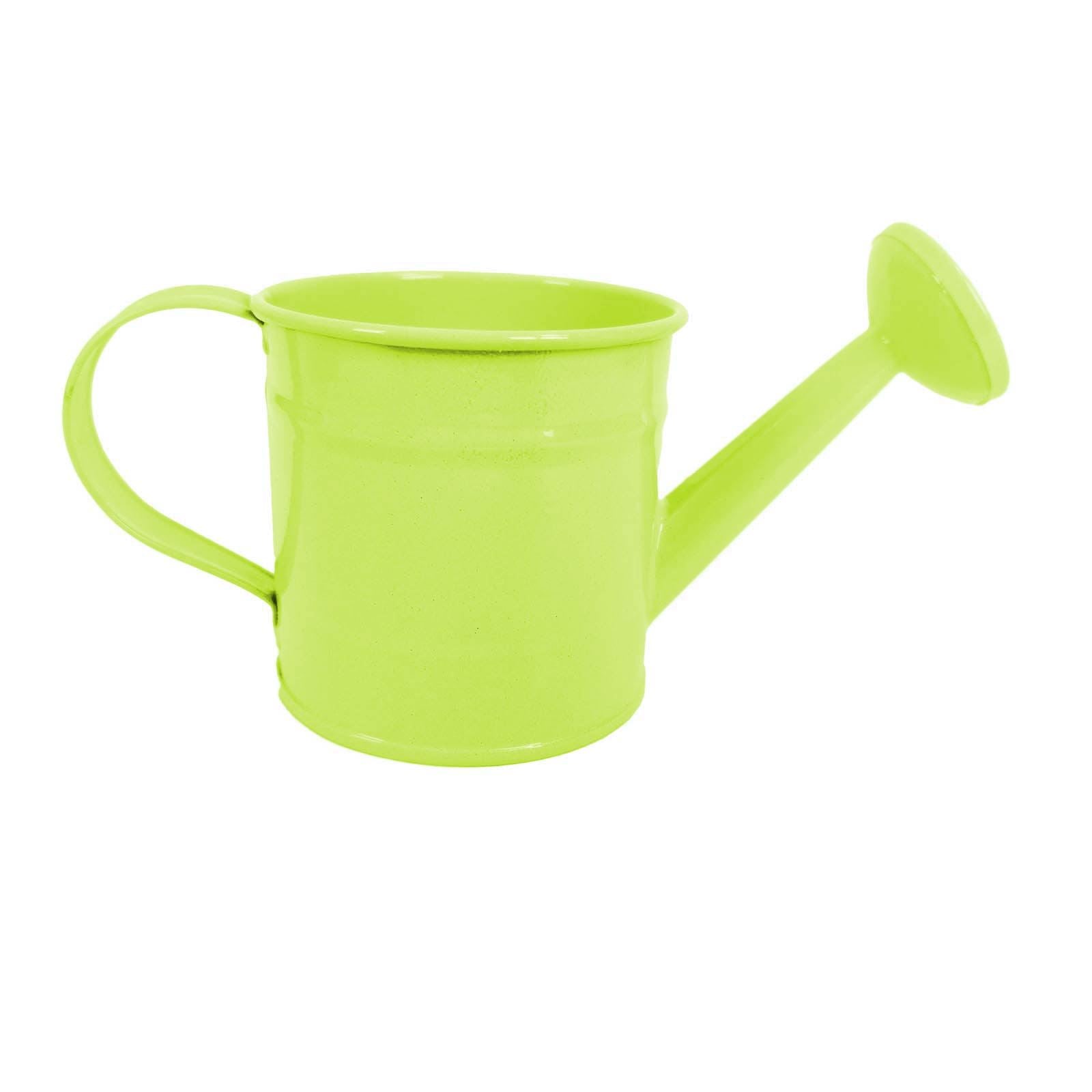 Mini Functional Watering Can
