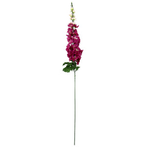 Single Delphinium Spray Stem