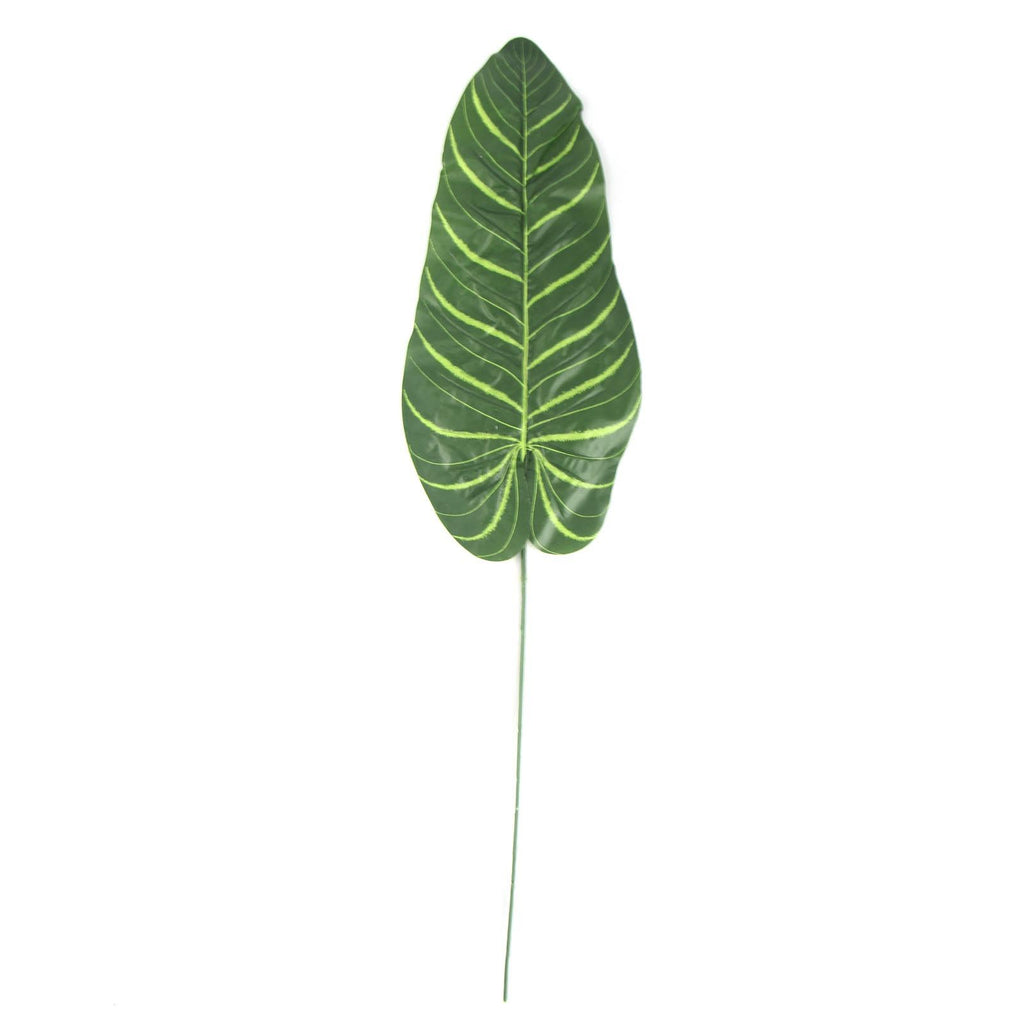 Tropical Single Regular Artificial Leaves