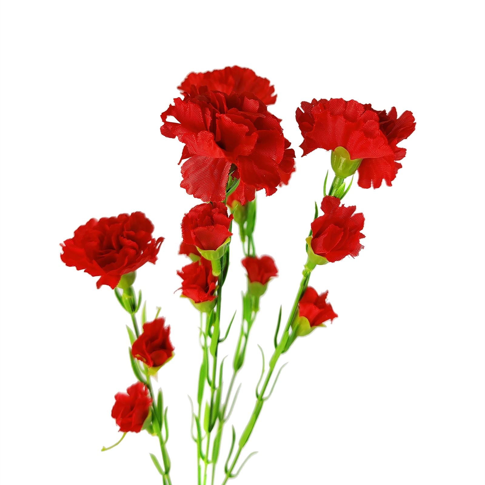 Carnation Spray