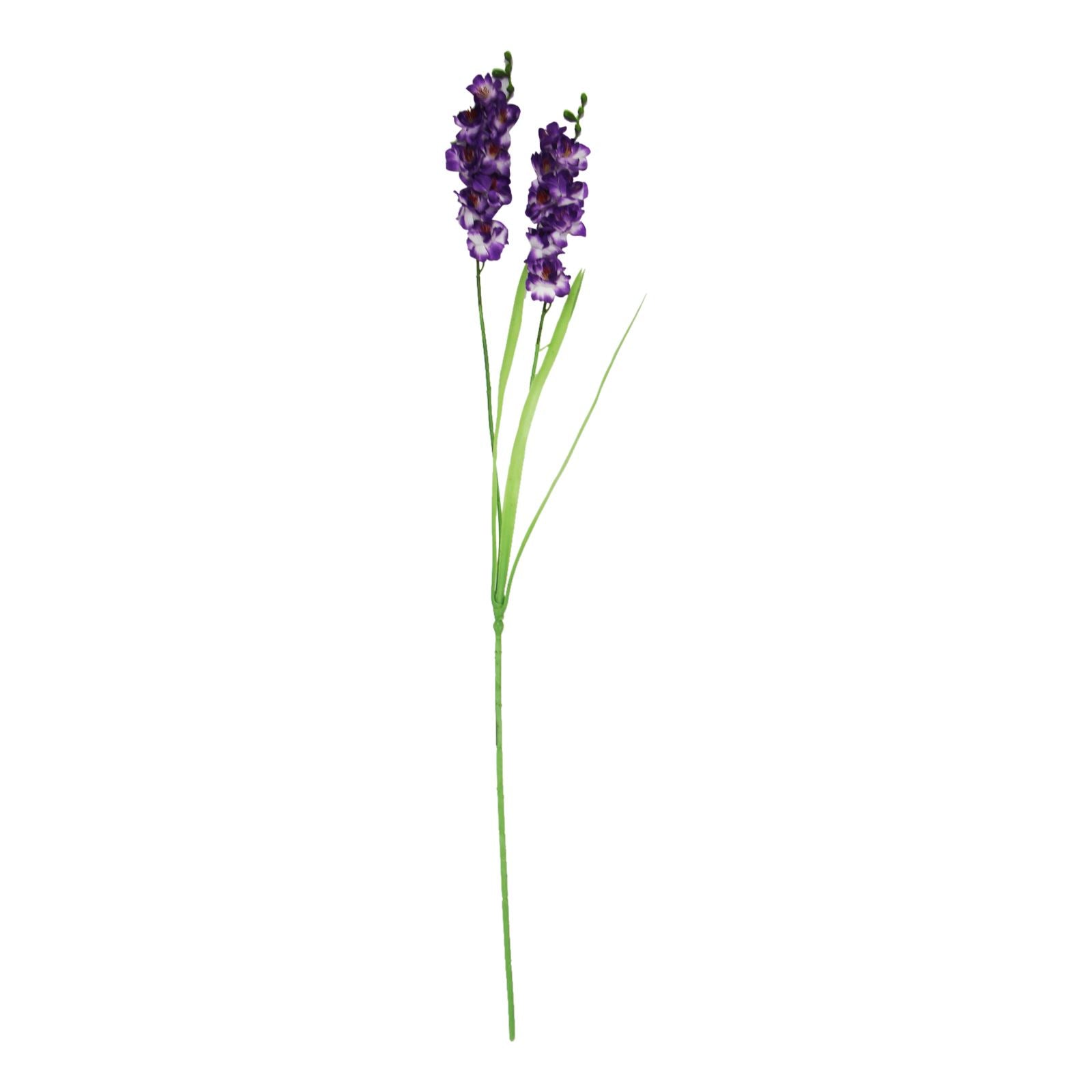 Two Headed Long Orchid Spray