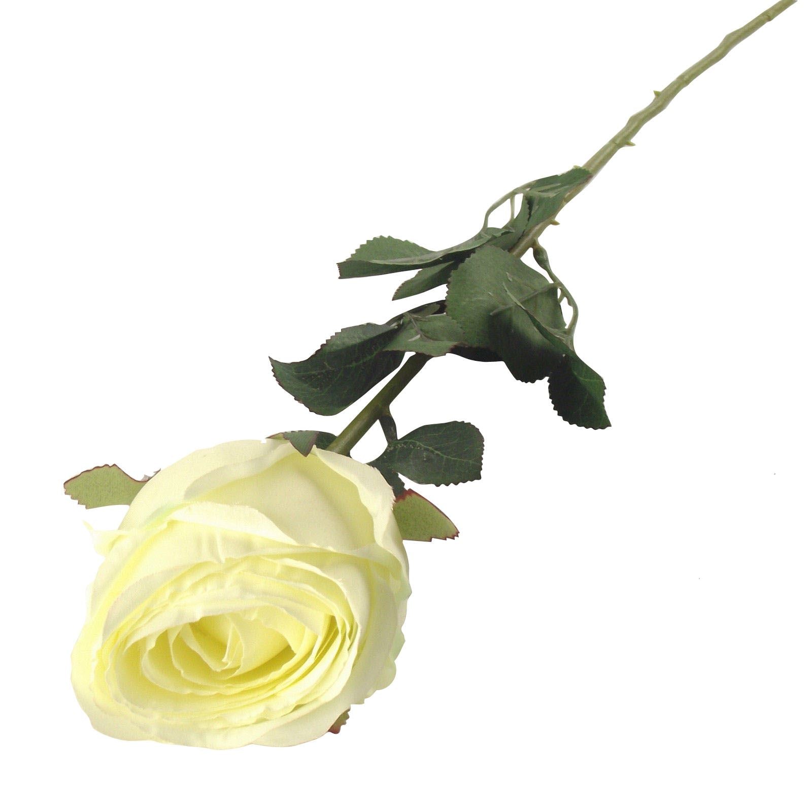 Single XL Closed Rose Bud