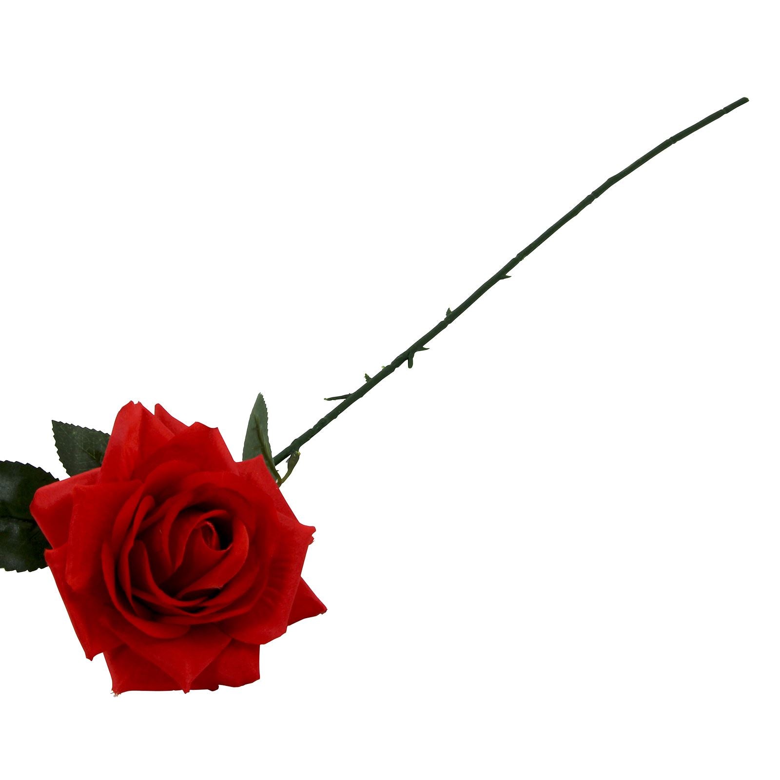 Large Plastic Premium Open Rose