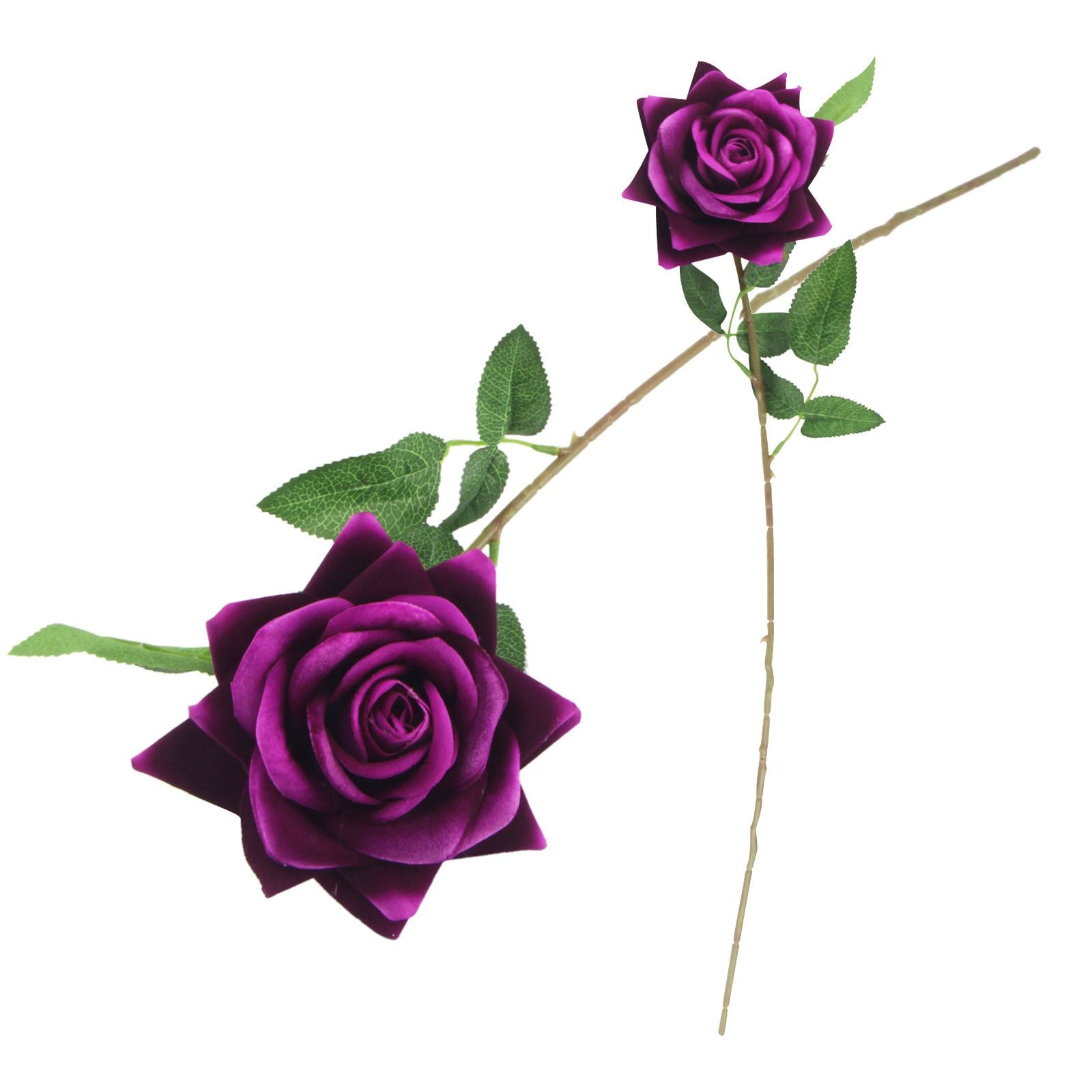 Premium Open Velvet Rose