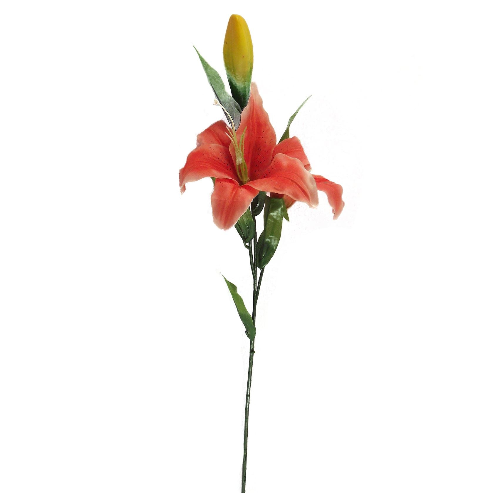 Stargazer Lily Spray