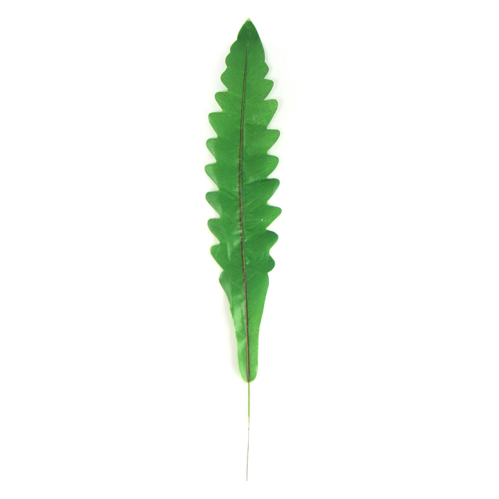 Tropical Single Regular Artificial Leaves
