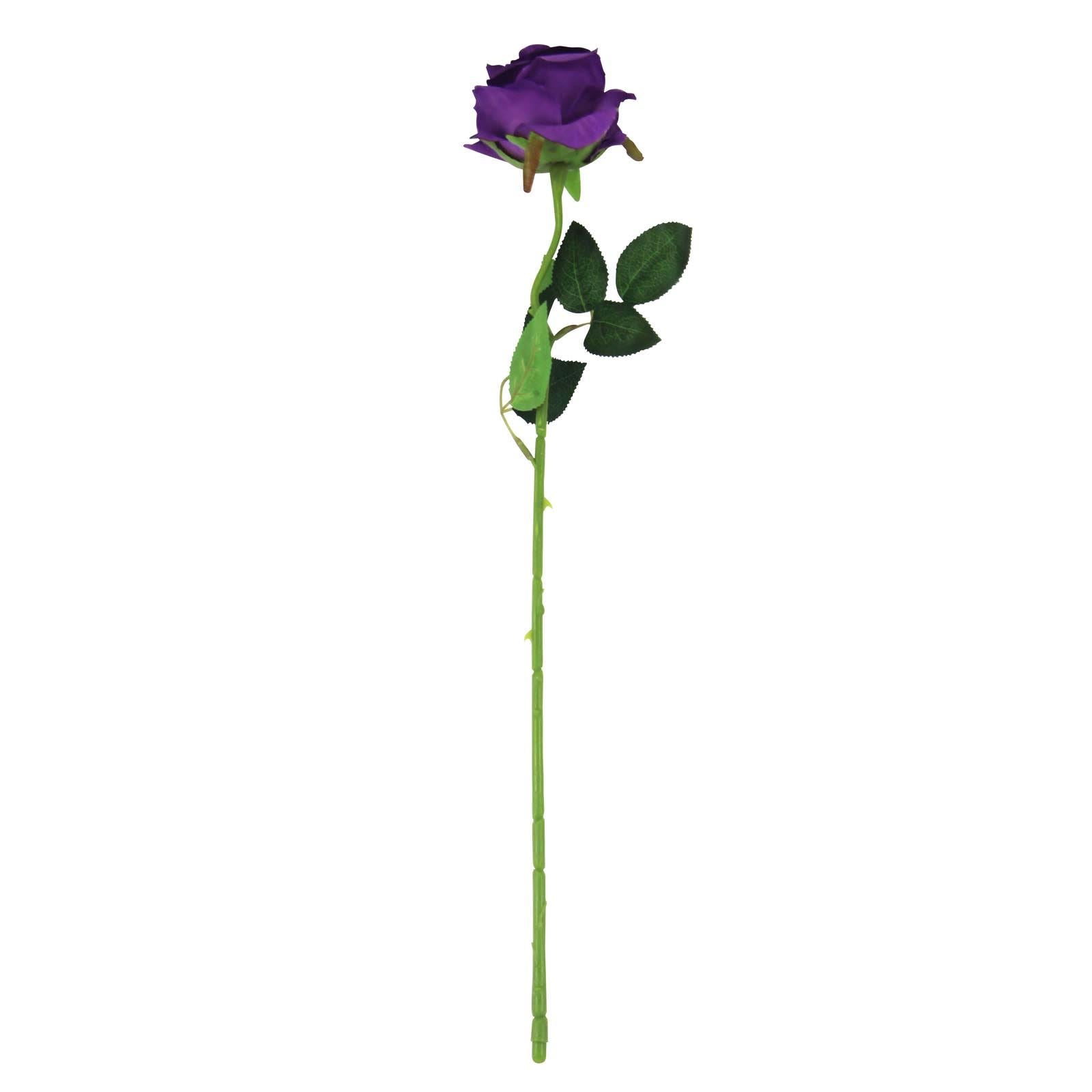 Soft Touch Premium Roses