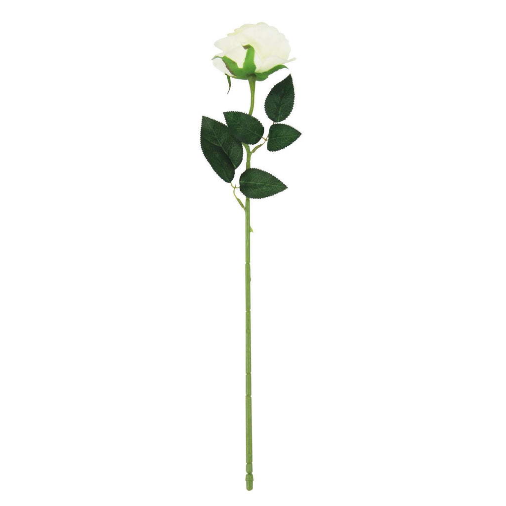 Soft Touch Premium Roses